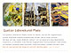 download: rechte Maustaste/Ziel speichern unter