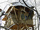Baumhausgefl�ster