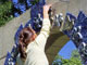Ferienspiele & Quetzer KunstSommer 2011