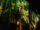 Lichtpunkte 2009
