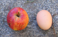 f&uuml;r �n Appel und �n Ei